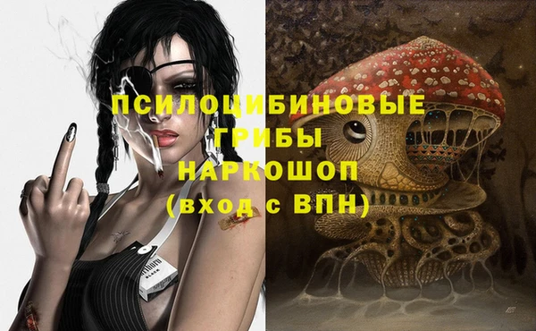 тгк Дмитриев