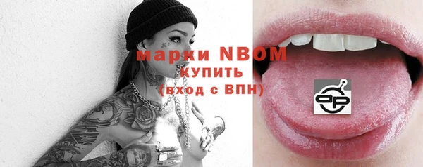 тгк Дмитриев