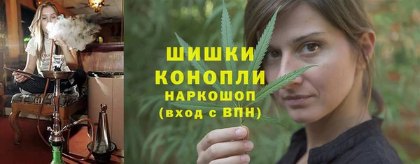 тгк Дмитриев
