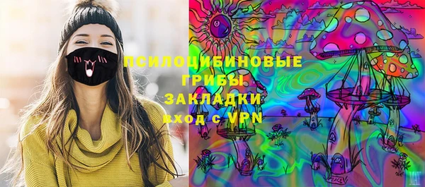 тгк Дмитриев