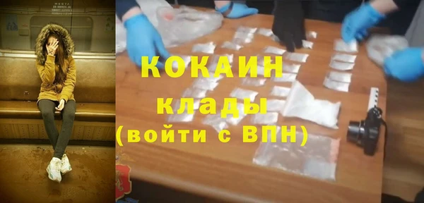 тгк Дмитриев