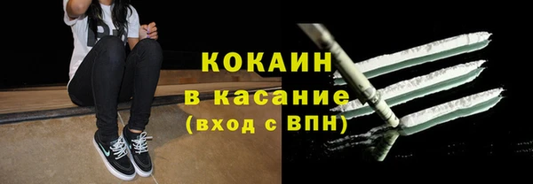 тгк Дмитриев