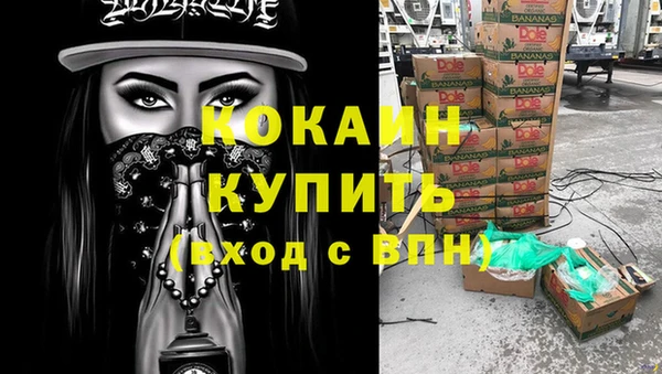 тгк Дмитриев