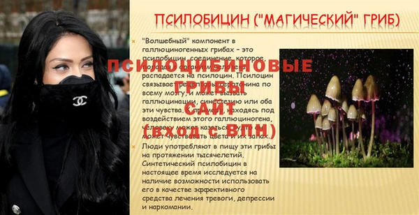 PSILOCYBIN Дмитровск