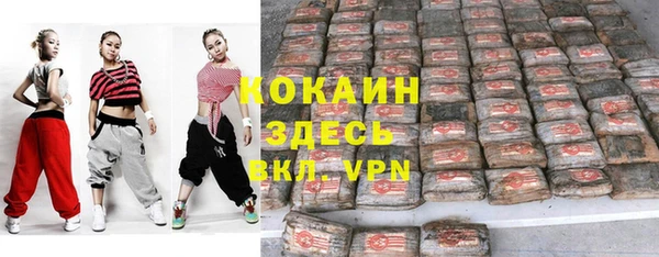 тгк Дмитриев