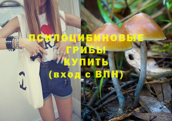 PSILOCYBIN Дмитровск