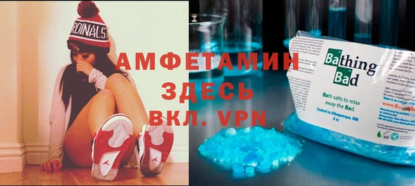 тгк Дмитриев