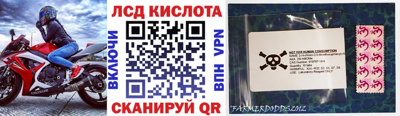 Купить где  Катайск  Наркотические марки 1,5мг 