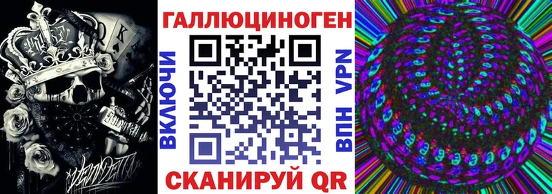 Купить  Катайск  Галлюциногенные грибы прущие грибы 
